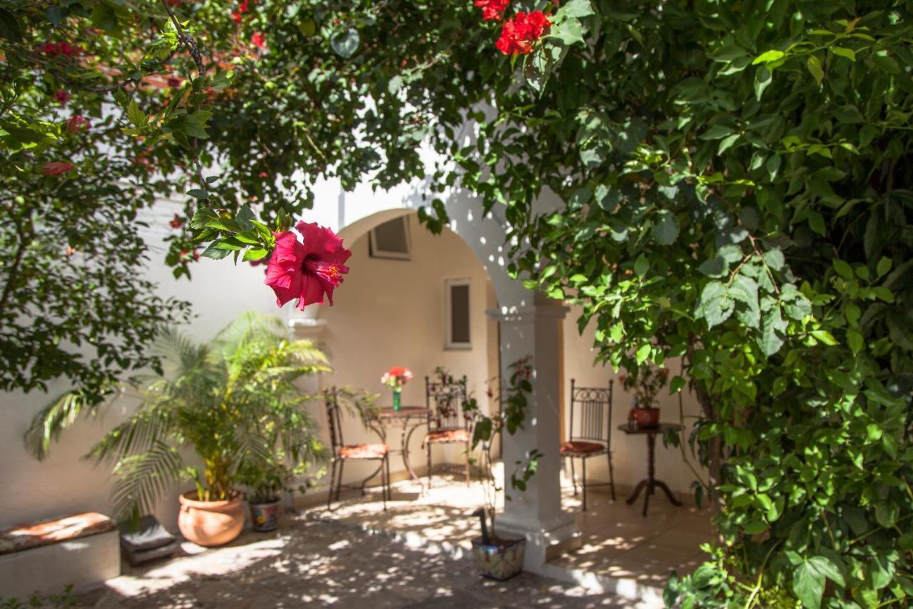 Hotel Casa San Miguel سان ميغيل دي الليندي المظهر الخارجي الصورة