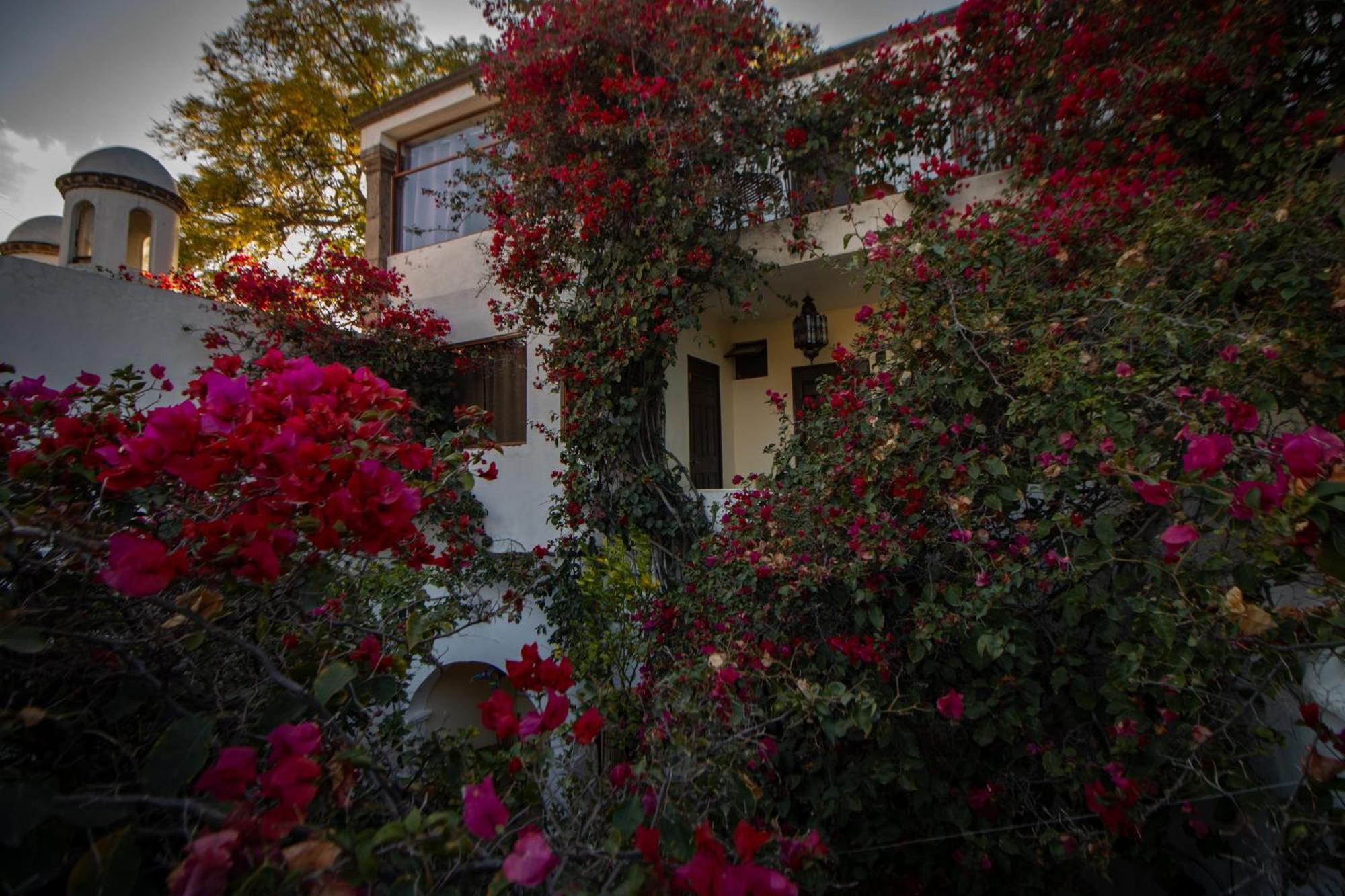 Hotel Casa San Miguel سان ميغيل دي الليندي المظهر الخارجي الصورة