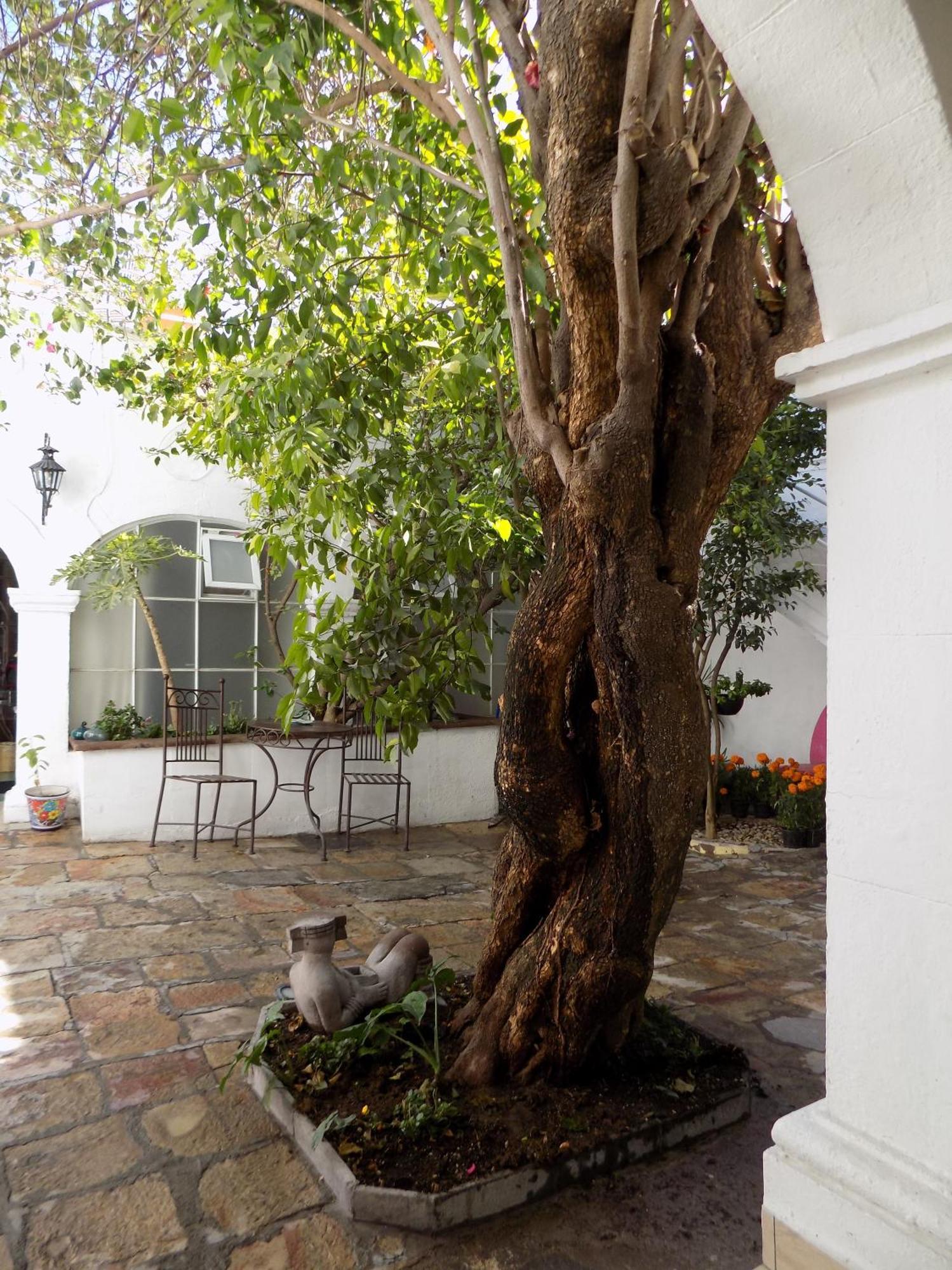 Hotel Casa San Miguel سان ميغيل دي الليندي المظهر الخارجي الصورة